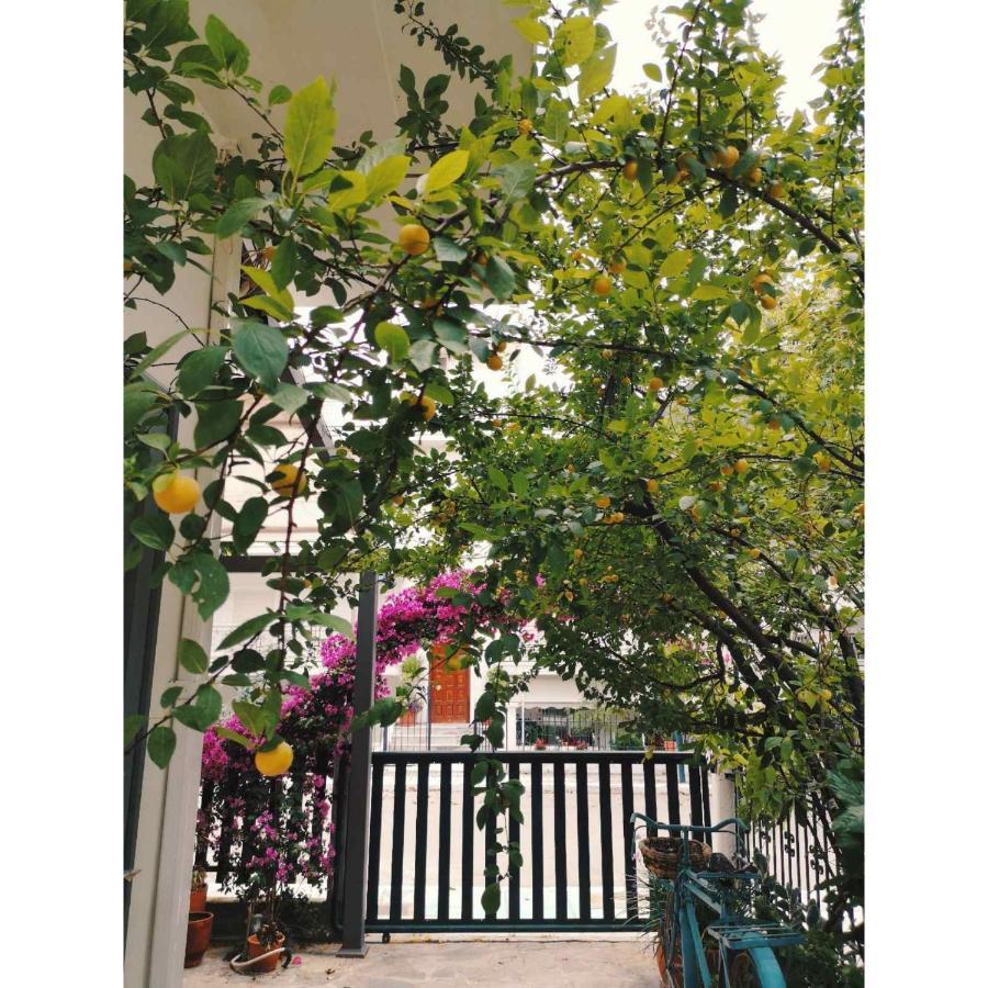 Hotel Ritsa Камена Вурла Екстериор снимка